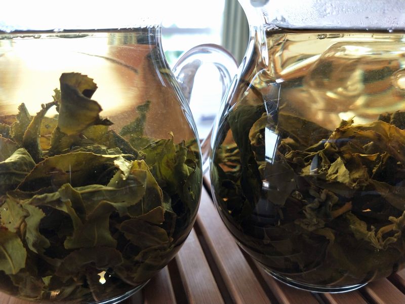 阿里山高山茶~雲香 冷茶