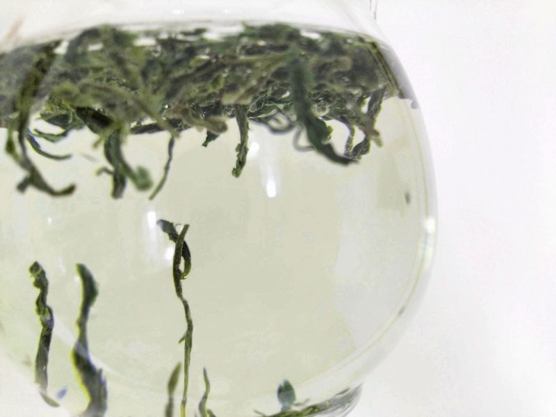 明前碧螺春 水出し冷茶