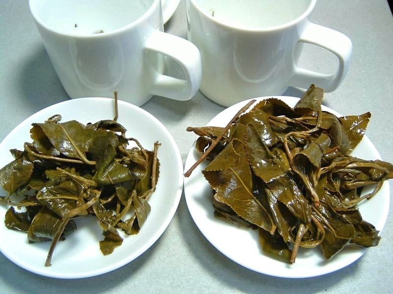 台湾茶ドットネット 茶葉鑑定6